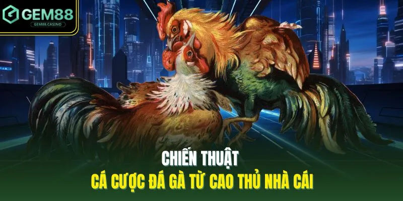 Đá Gà GEM88 4 Chiến thuật cá cược đá gà từ cao thủ nhà cái
